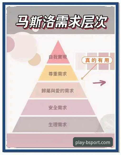 <h2>3个维度解析：卡洛斯专访如何预示世界杯格局，及体育平台的价值</h2>