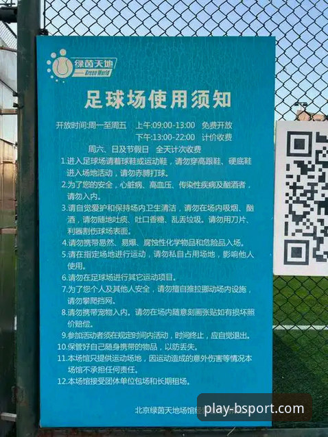 获取BSport体育官方下载地址的实用指南与深度解析