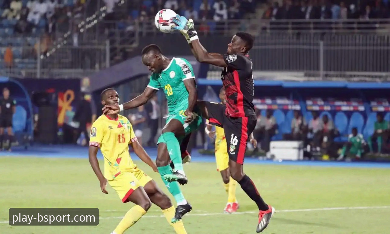 深度解析奥地利5-1大胜加纳：一场流畅赛事背后的观赛实用指南