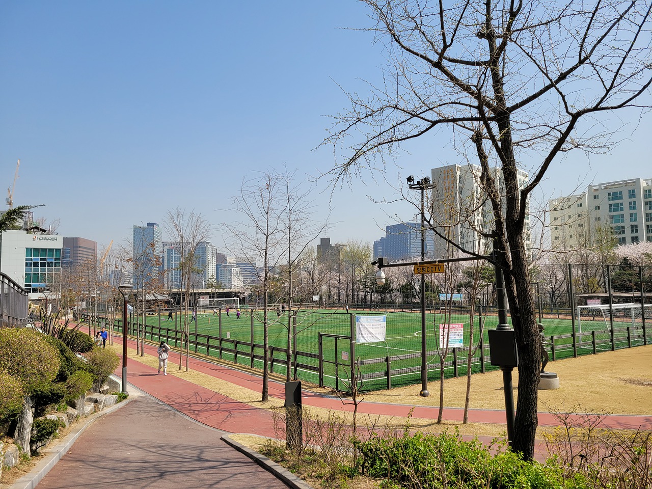 到了展示机